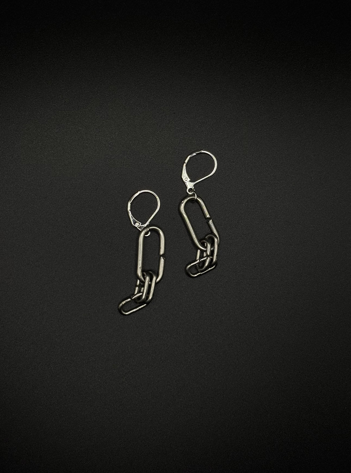 BISM EARRINGS | stainless