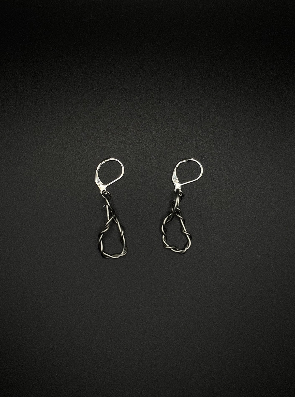 WIRE SWIRL EARRINGS | stainless